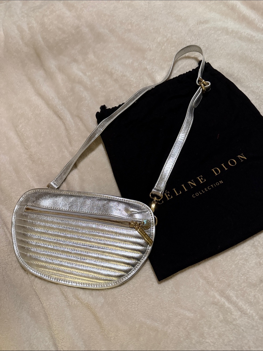 Céline Dion Collection Silver Metallic Crossbody Bag with Dust Bag